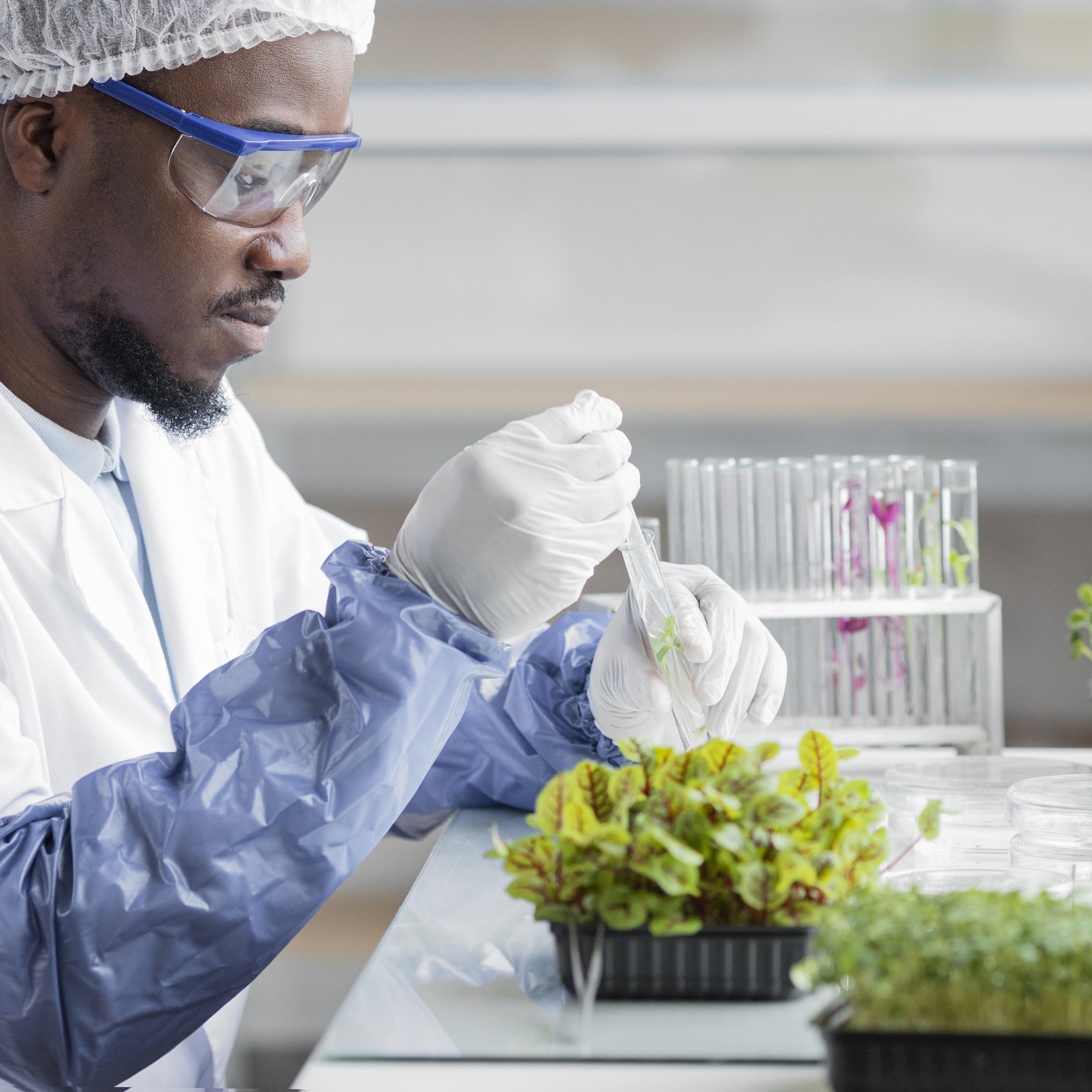 Cycle perfectionnement Manager Spécialiste en Suivi et Évaluation des Projets Agricoles