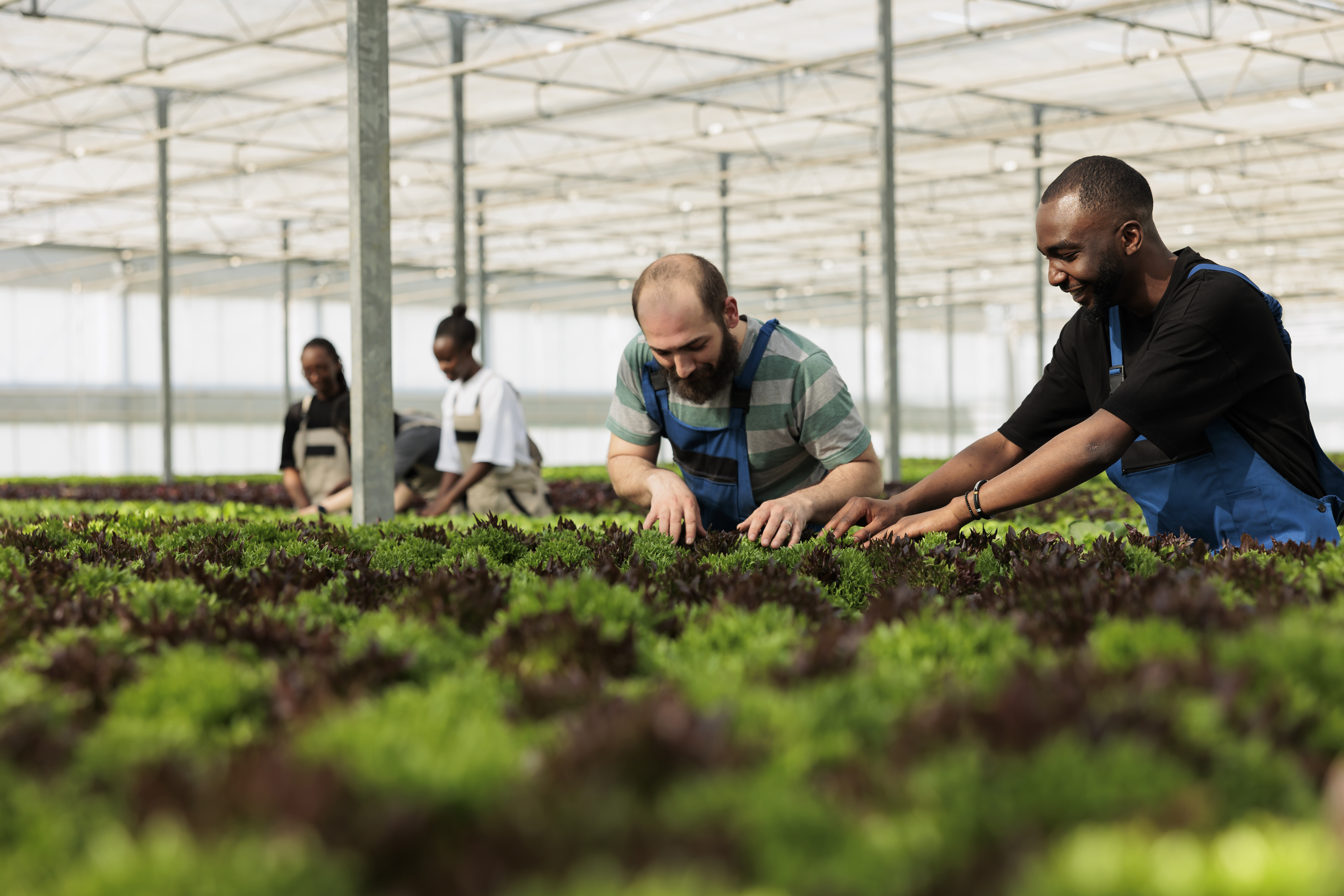 Cycle perfectionnement Manager Spécialiste en Gestion des crises alimentaires